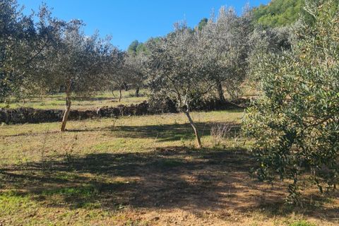 Landejendom i Asco, Tarragona, Asco - € 29.000 | Ref: 1003 Pasco - foto 14
